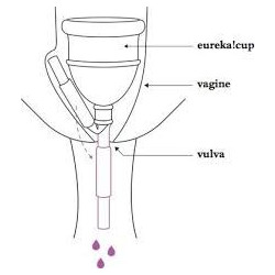 Copa menstrual vaciable Eureka
